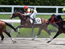 ����å��ǳ��������ɽ�����ޤ�