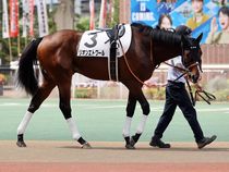 ����å��ǳ��������ɽ�����ޤ�