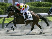 ����å��ǳ��������ɽ�����ޤ�