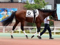 ����å��ǳ��������ɽ�����ޤ�