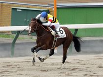 ����å��ǳ��������ɽ�����ޤ�