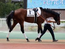 ����å��ǳ��������ɽ�����ޤ�