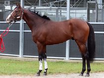 ����å��ǳ��������ɽ�����ޤ�