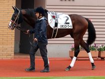 ����å��ǳ��������ɽ�����ޤ�