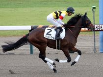 ����å��ǳ��������ɽ�����ޤ�