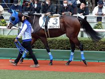 ����å��ǳ��������ɽ�����ޤ�