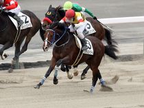 ����å��ǳ��������ɽ�����ޤ�