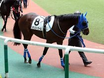 ����å��ǳ��������ɽ�����ޤ�