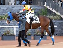 ����å��ǳ��������ɽ�����ޤ�