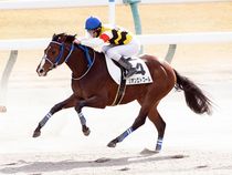 ����å��ǳ��������ɽ�����ޤ�