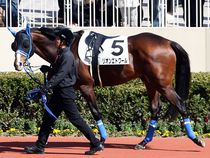 ����å��ǳ��������ɽ�����ޤ�