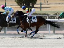 ����å��ǳ��������ɽ�����ޤ�