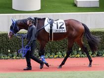 ����å��ǳ��������ɽ�����ޤ�