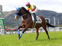 ����å��ǳ��������ɽ�����ޤ�