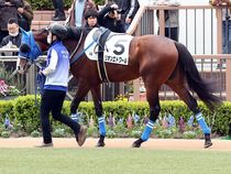 ����å��ǳ��������ɽ�����ޤ�