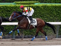 ����å��ǳ��������ɽ�����ޤ�