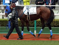 ����å��ǳ��������ɽ�����ޤ�