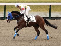 ����å��ǳ��������ɽ�����ޤ�