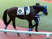 ����å��ǳ��������ɽ�����ޤ�