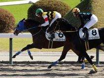 ����å��ǳ��������ɽ�����ޤ�