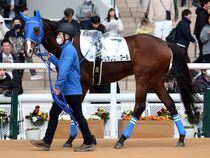 ����å��ǳ��������ɽ�����ޤ�