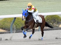 ����å��ǳ��������ɽ�����ޤ�