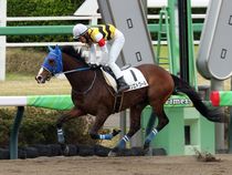 ����å��ǳ��������ɽ�����ޤ�