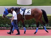 ����å��ǳ��������ɽ�����ޤ�