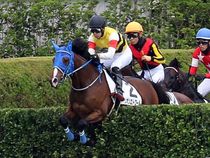 ����å��ǳ��������ɽ�����ޤ�