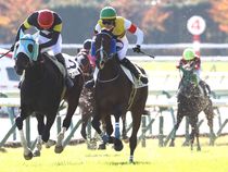 ����å��ǳ��������ɽ�����ޤ�