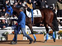 ����å��ǳ��������ɽ�����ޤ�