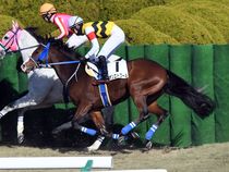 ����å��ǳ��������ɽ�����ޤ�