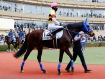 ����å��ǳ��������ɽ�����ޤ�