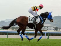 ����å��ǳ��������ɽ�����ޤ�