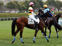 ����å��ǳ��������ɽ�����ޤ�