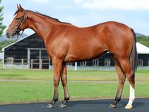 ����å��ǳ��������ɽ�����ޤ�