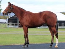 ����å��ǳ��������ɽ�����ޤ�