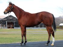 ����å��ǳ��������ɽ�����ޤ�