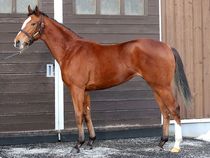 ����å��ǳ��������ɽ�����ޤ�