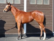 ����å��ǳ��������ɽ�����ޤ�