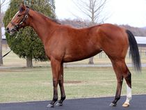 ����å��ǳ��������ɽ�����ޤ�