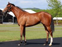 ����å��ǳ��������ɽ�����ޤ�