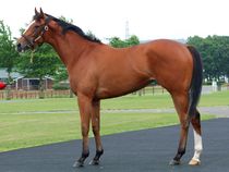 ����å��ǳ��������ɽ�����ޤ�