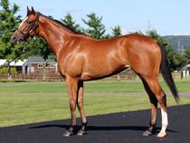 ����å��ǳ��������ɽ�����ޤ�