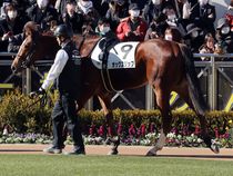 ����å��ǳ��������ɽ�����ޤ�