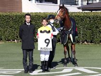 ����å��ǳ��������ɽ�����ޤ�