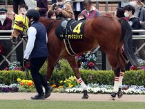 ����å��ǳ��������ɽ�����ޤ�