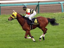 ����å��ǳ��������ɽ�����ޤ�