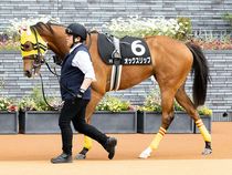 ����å��ǳ��������ɽ�����ޤ�