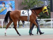 ����å��ǳ��������ɽ�����ޤ�